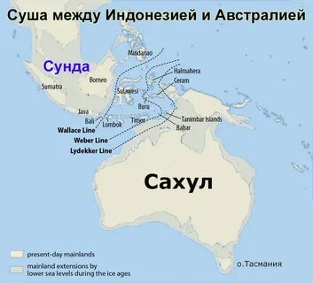 Пролив между новой гвинеей и австралией