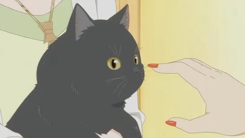 She and her cat