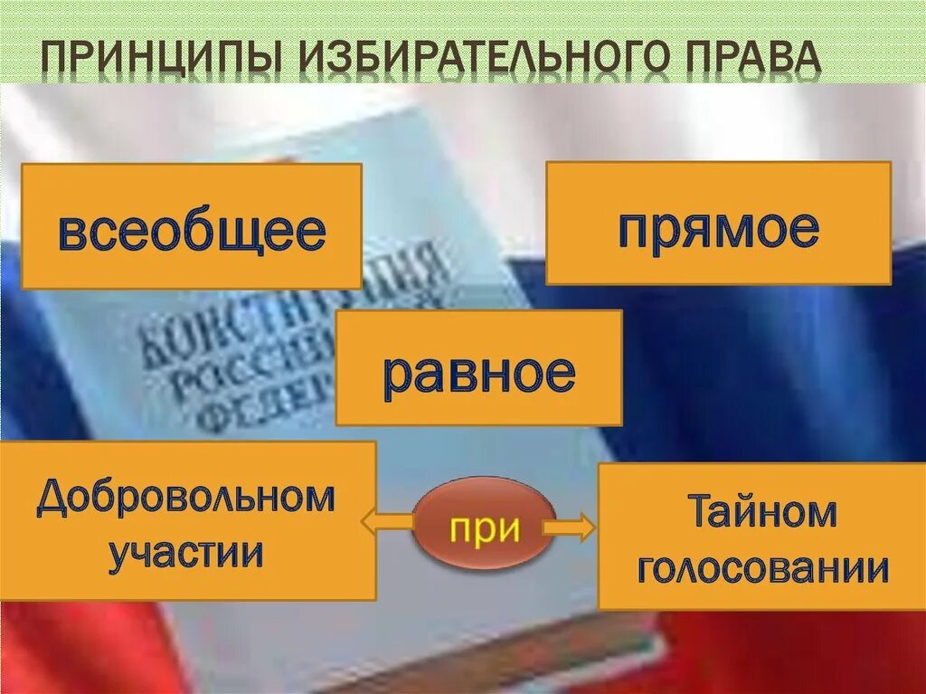 Избирательное право принципы. Принципы голосования на выборах. Выборы в рф прямые равные