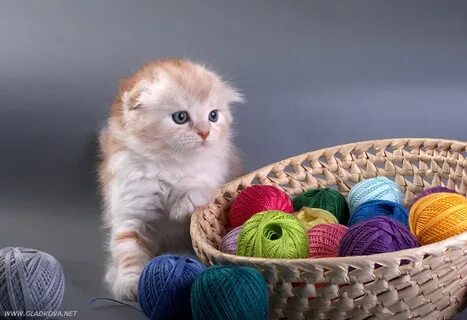Магазин клубки в корзинке пряжа