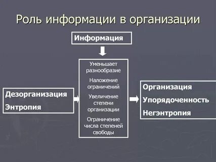Роль информации в деятельности организаций