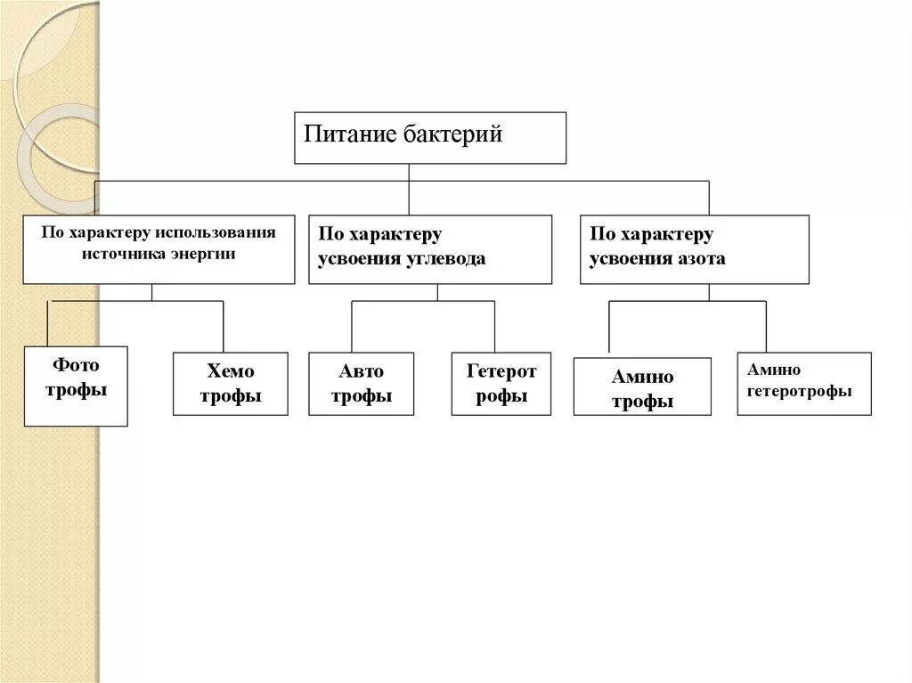 Источники энергии бактерий. Питание бактерий по характеру усвоения углерода. По характеру питания бактерии. Источники питания для микроорганизмов. Типы питания микроорганизмов.