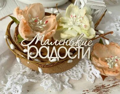 Радости 6