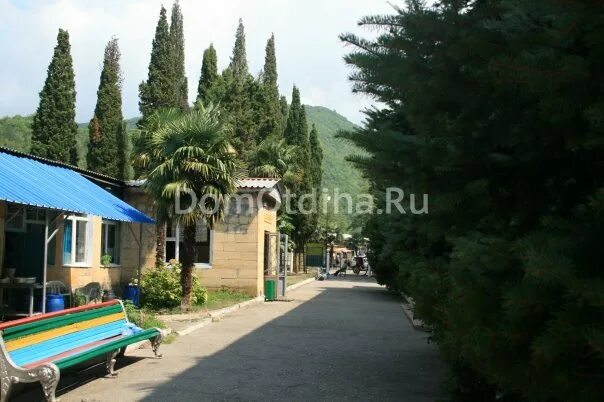 комплекс дружба сочи. комплекс дружба сочи. лагерь дружба сочи лазаревское. док дружба лагерь сочи. лагерь дружба сочи лазаревское.