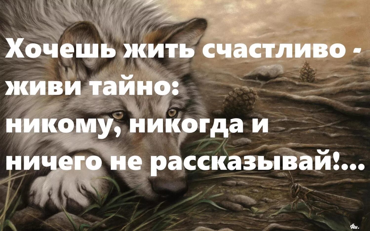 Никогда никому ничего не. Никогда никому ничего не рассказывай цитаты. Хочешь жить счастливо никому ничего не рассказывай живи тайно. Никому ничего не рассказывай.