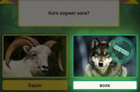 Что значит кормить волка