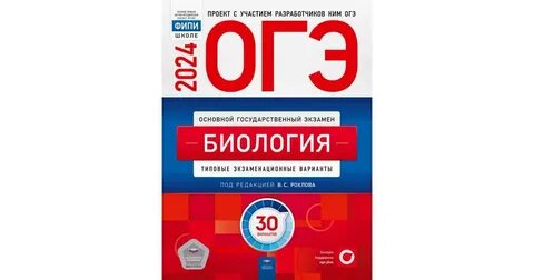 Красные зоны огэ 2024