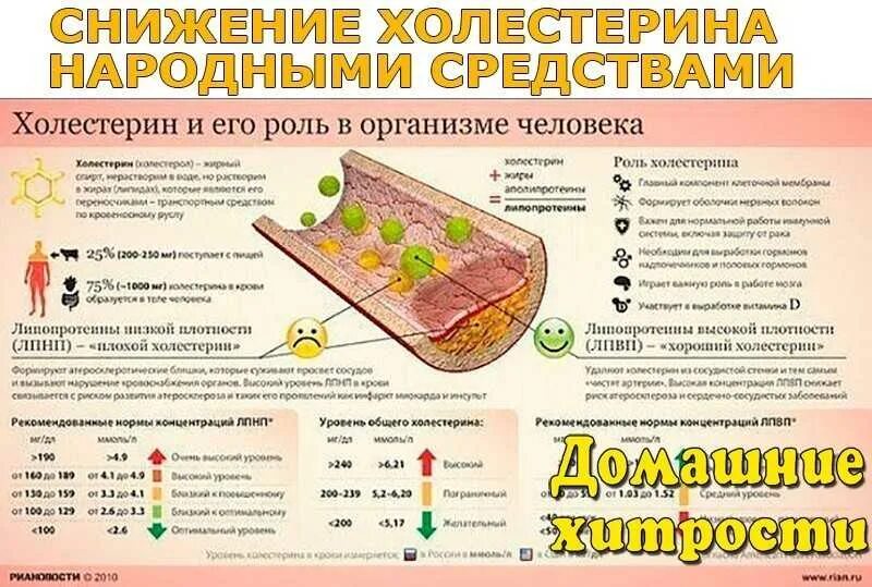 Что можно есть уровня. Снижение холестерина. снижение уровня холестерина в крови. методы снижения холестерина. как сн зить холестерин.