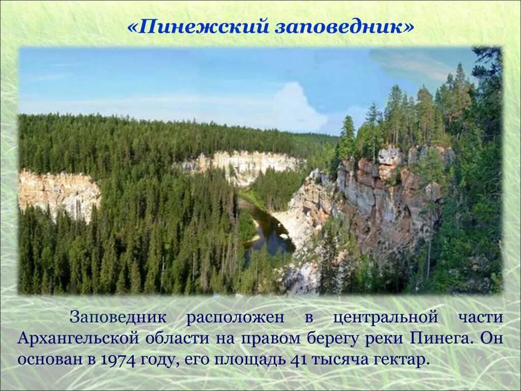 Какая природная зона в архангельской области. Пинежский заповедник Архангельской области. Пинежский заповедник река Пинега. Территория Пинежского заповедника. Заповедники Архангельской области Пинежский заповедник.