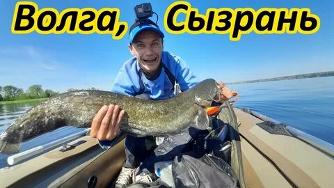 Форека самара сом