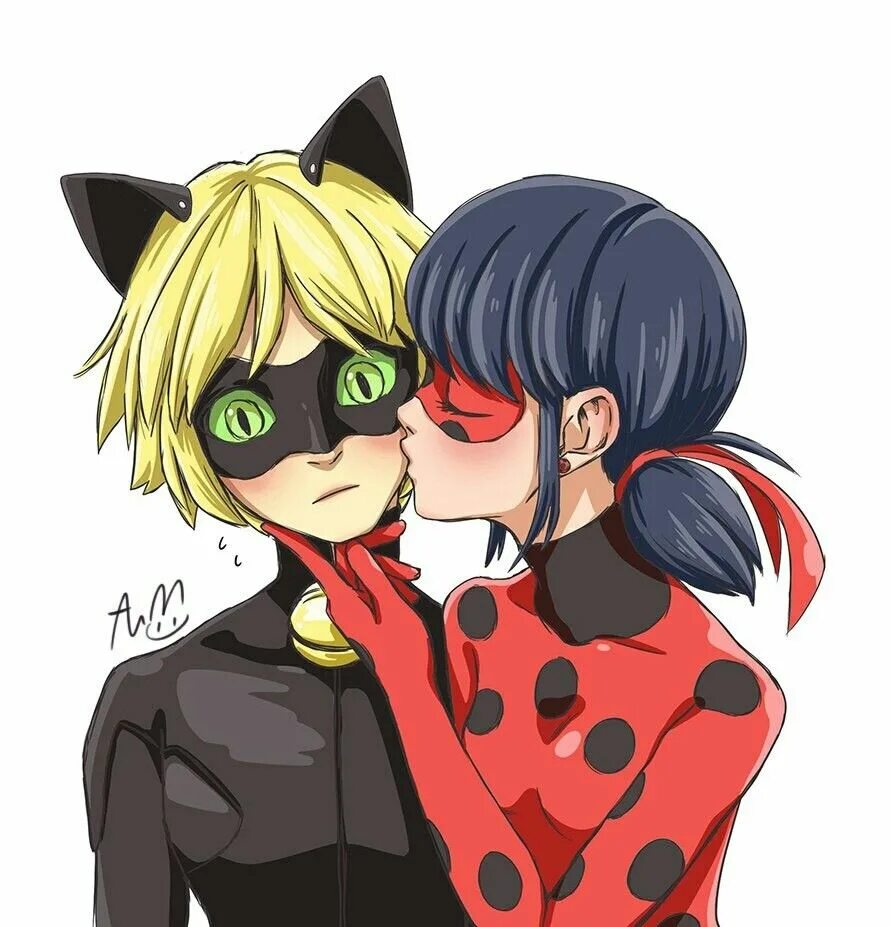 Miraculous ladybug x reader