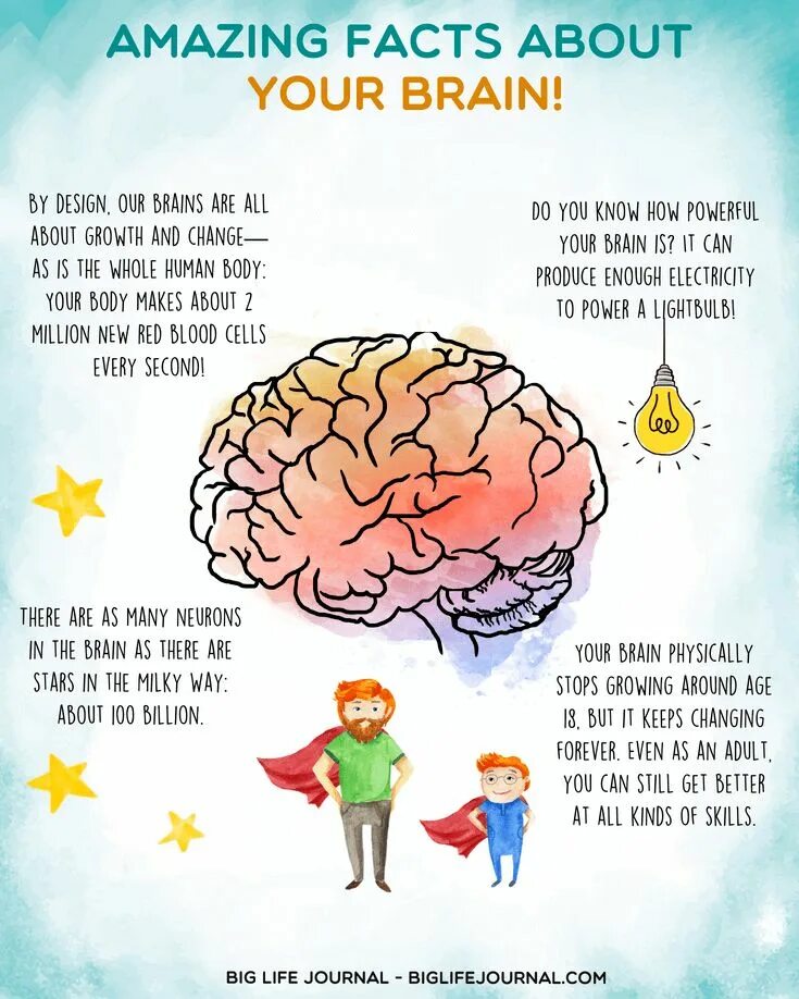 Growing around. Facts about Brain. Facts about our Brain. Amazing facts. Interesting facts about Brain for Kids.