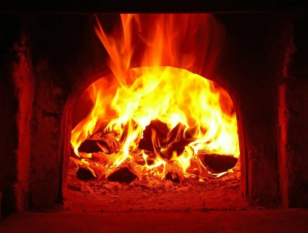 Гул огня. Демон огня. Вечный огонь в цвете. Огненный росток геншин. Огонь обои.