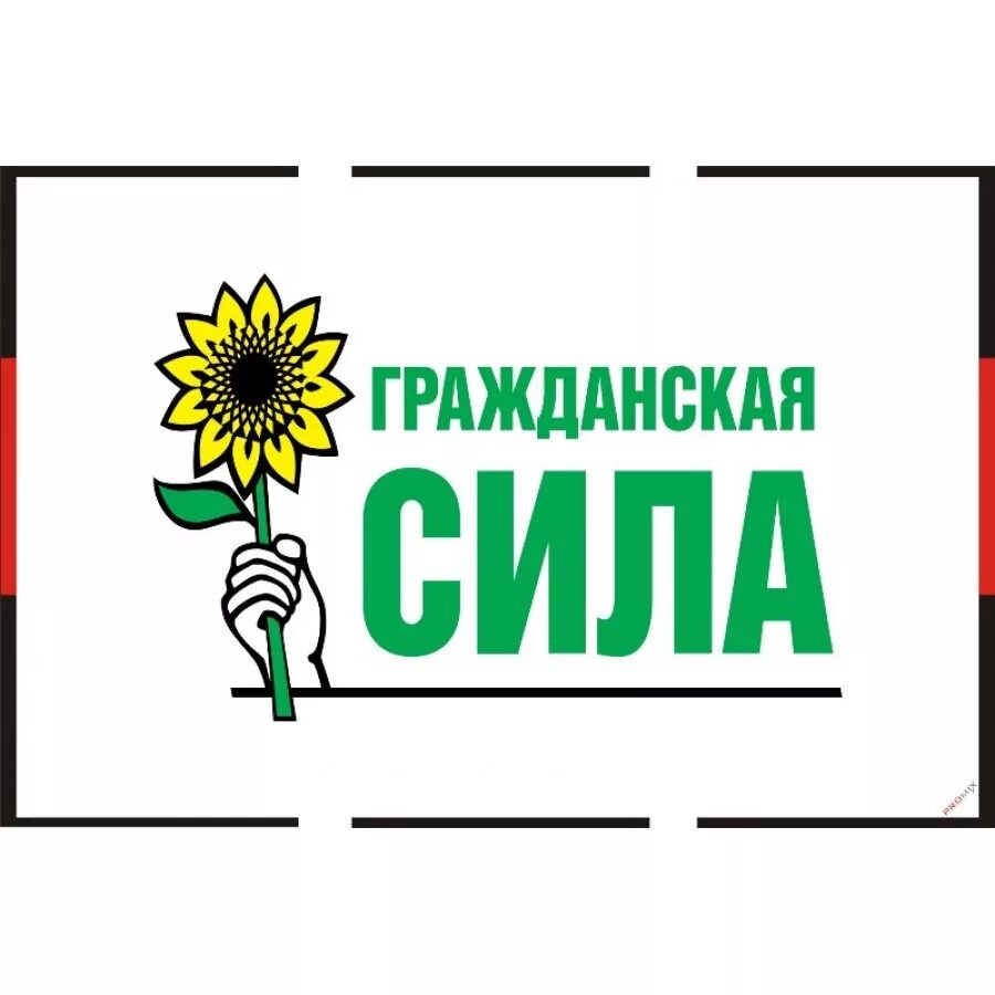 Партия гражданская сила. Всероссийская политическая партия «гражданская сила». Партия гражданская сила. Новая сила партия россия. Программа партии гражданская сила.