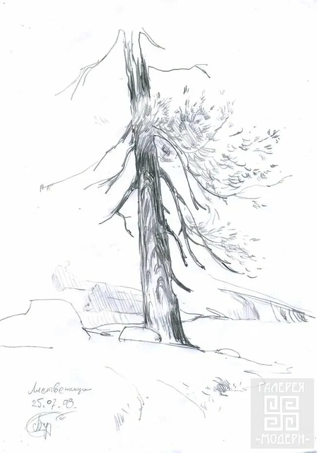 карандаш лиственница