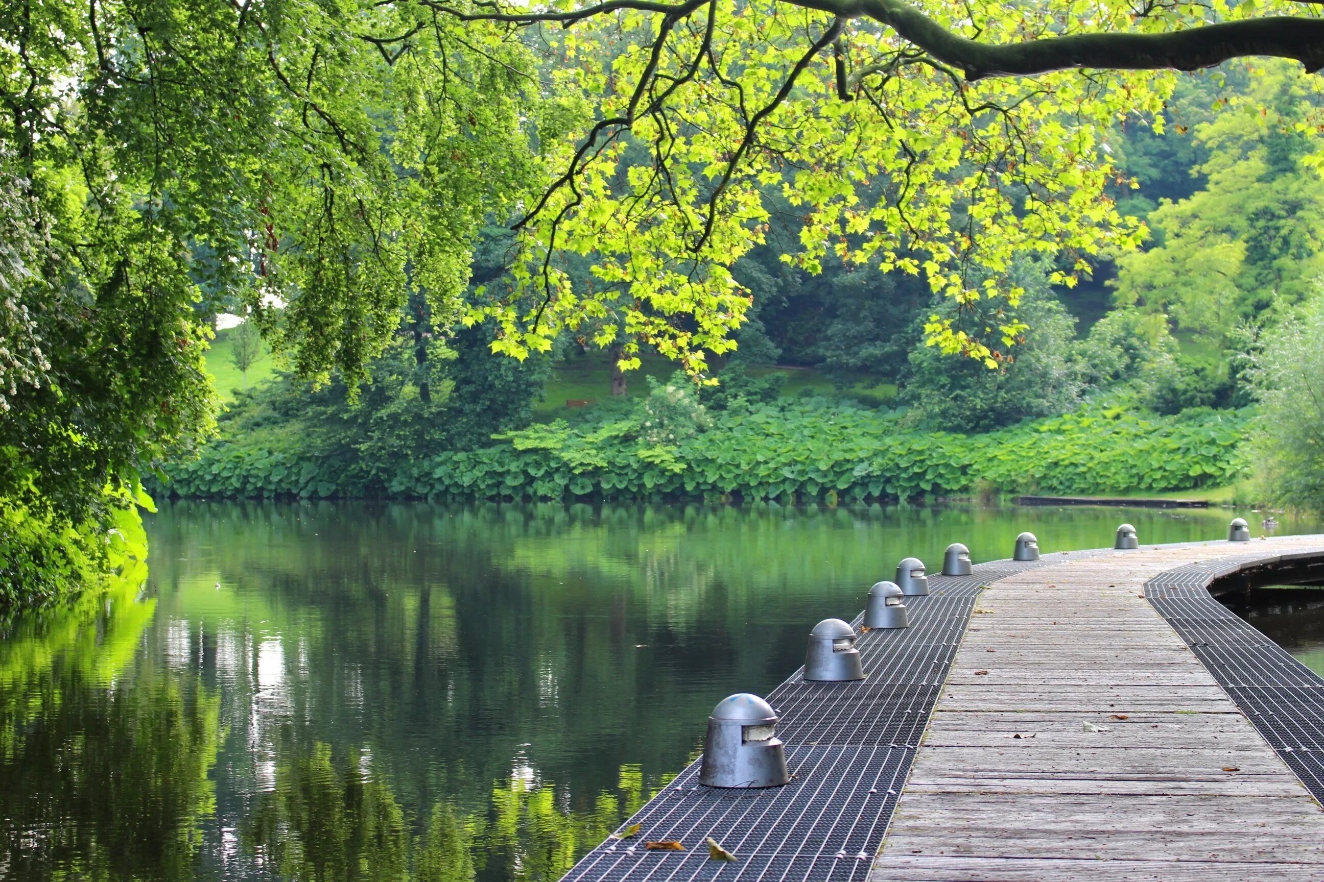 Park in. Бремен природа. Бремен озера. Парк с озером. Озеро в парке.