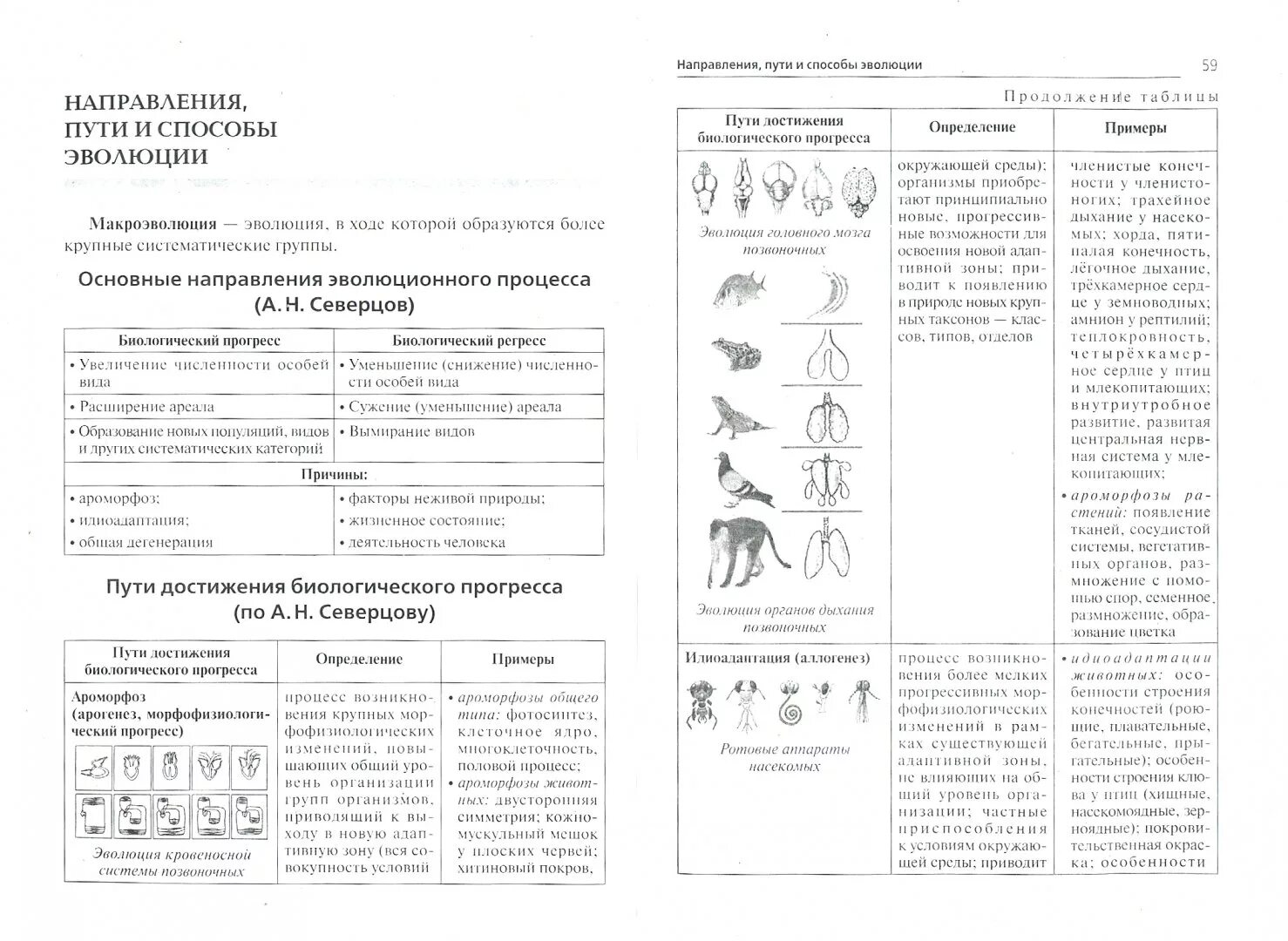 Зоология ОГЭ теория по биологии. Шпаргалка по эволюции ЕГЭ биология. Эволюция шпоры ЕГЭ. Шпаргалки по биологии ЕГЭ 2021.