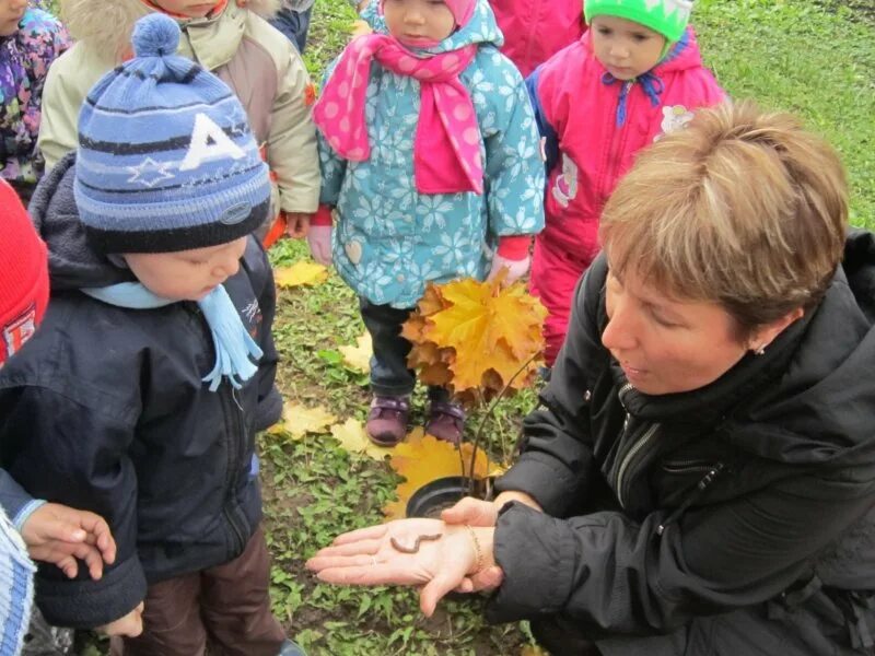 Прогулка в детском саду летом. Школьники на природе. Детский туризм в детском саду. Экологическая тропинка на территории детского сада. Дети в саду на экскурсии.