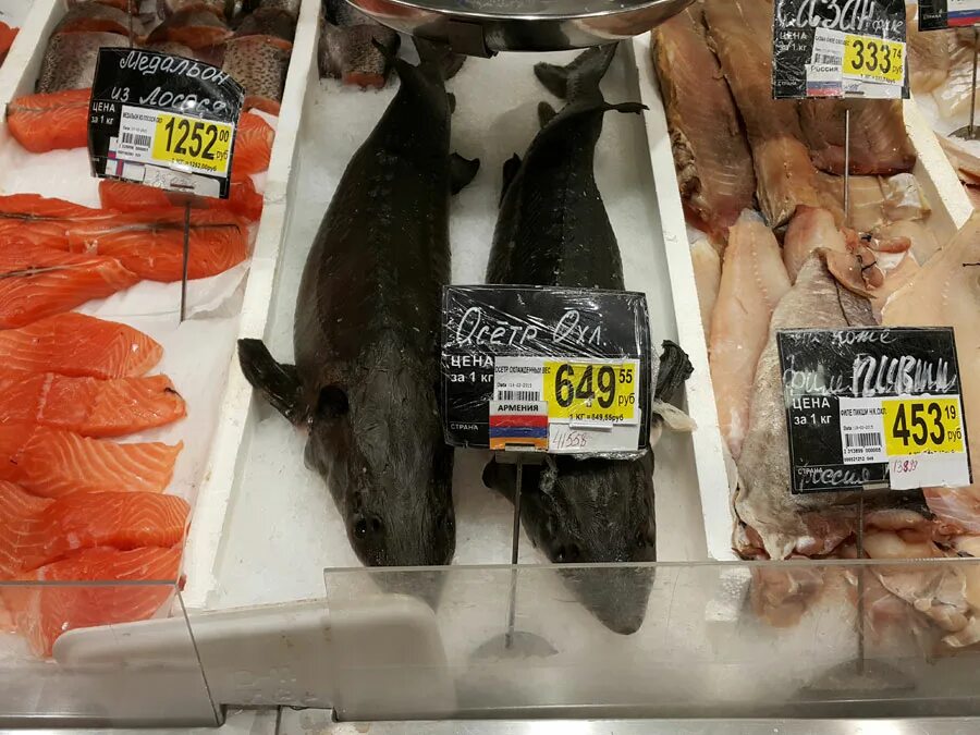 Рыба цена за 1 кг в москве. Ашан рыба. Ашан рыба охлажденная. Ассортимент рыбы свежей в Ашане. Ценники в магазине на рыбу семгу.