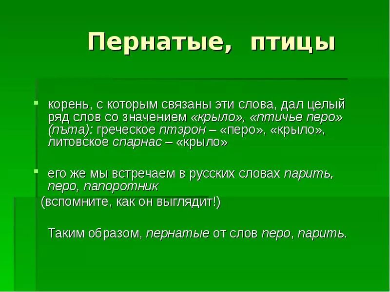 Значение слова перо. Толкование слова перо. Почему их так назвали. Обозначение слова перо.