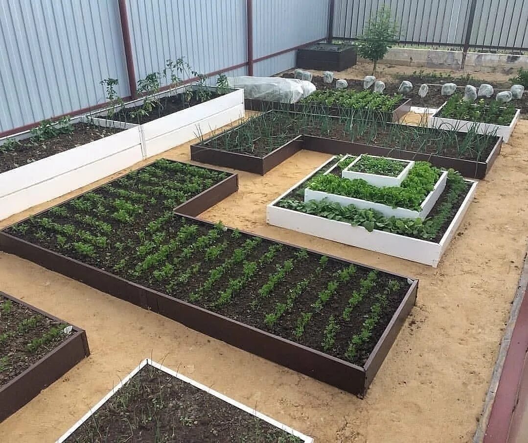 Обустройство огорода. Как расположить грядки. Обустройство огорода. Декоративный огород. Грядки короба рыкалина.