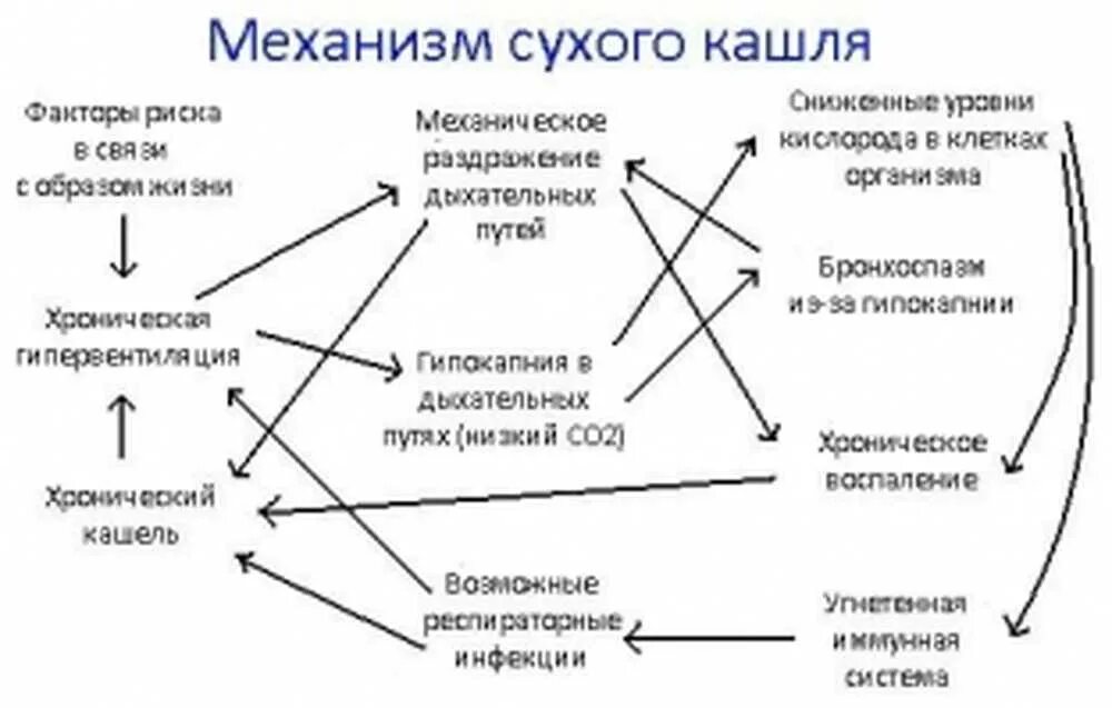 Почему ночью сухой кашель. Механизм сухого кашля. Механизм развития кашля. Механизм сухого кашля у детей.. Механизм формирования кашля.