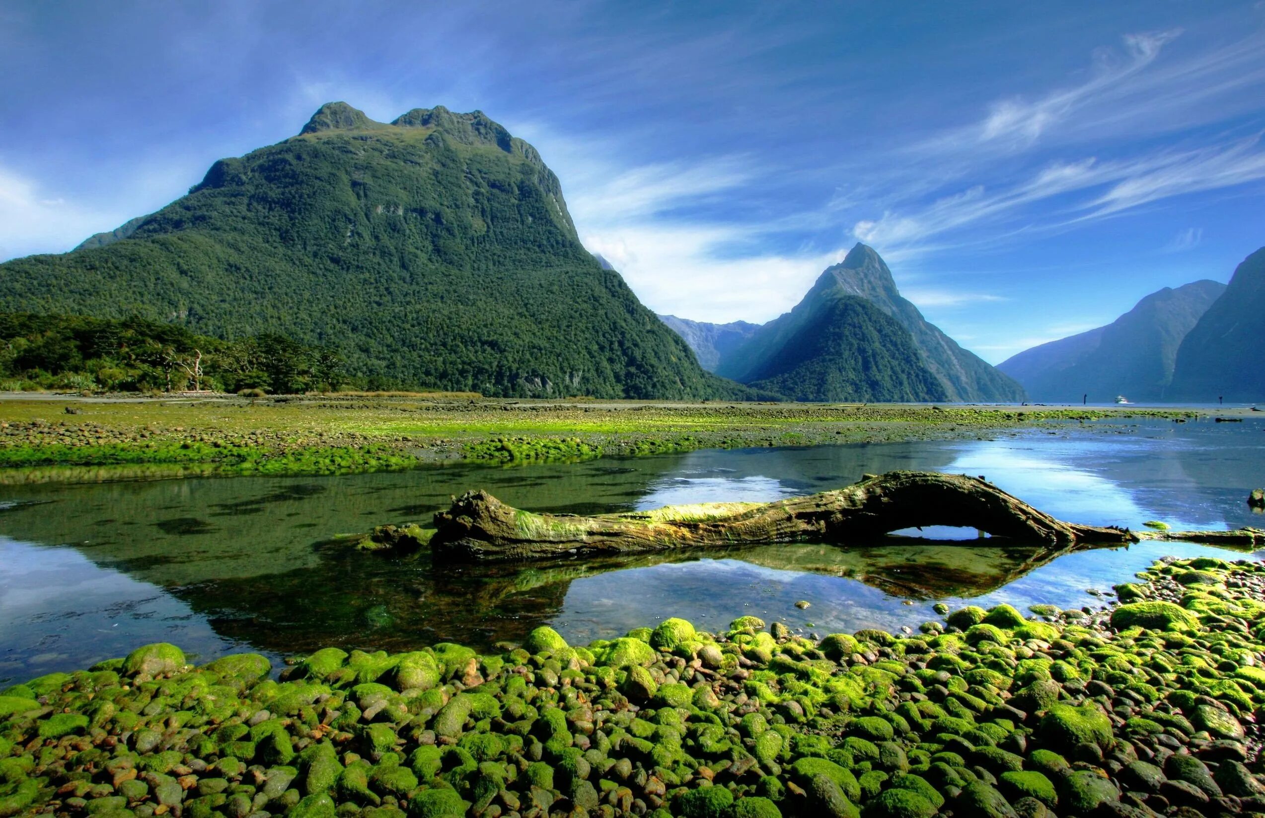 Mark in new zealand