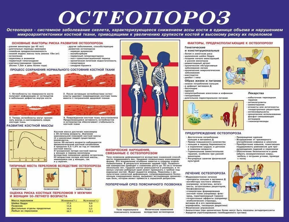 Лечение костных заболеваний. Остеопороз памятка для пациента. Профилактика остеопороза памятка. Рекомендации пациентам с остеопорозом. Профилактика переломов при остеопорозе.