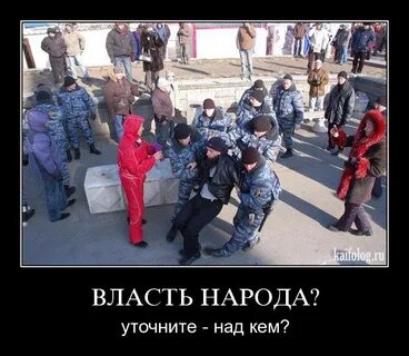 Не доверяют властям