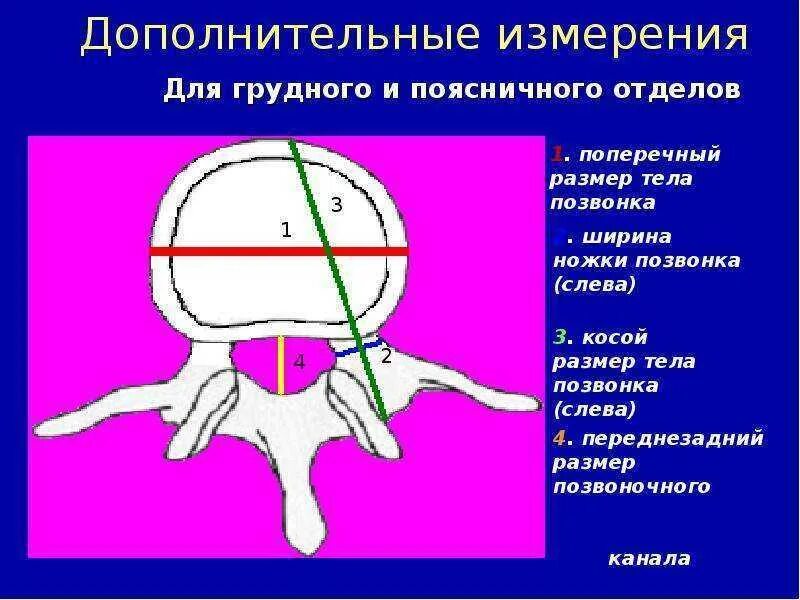 Сагиттальный размер канала норма