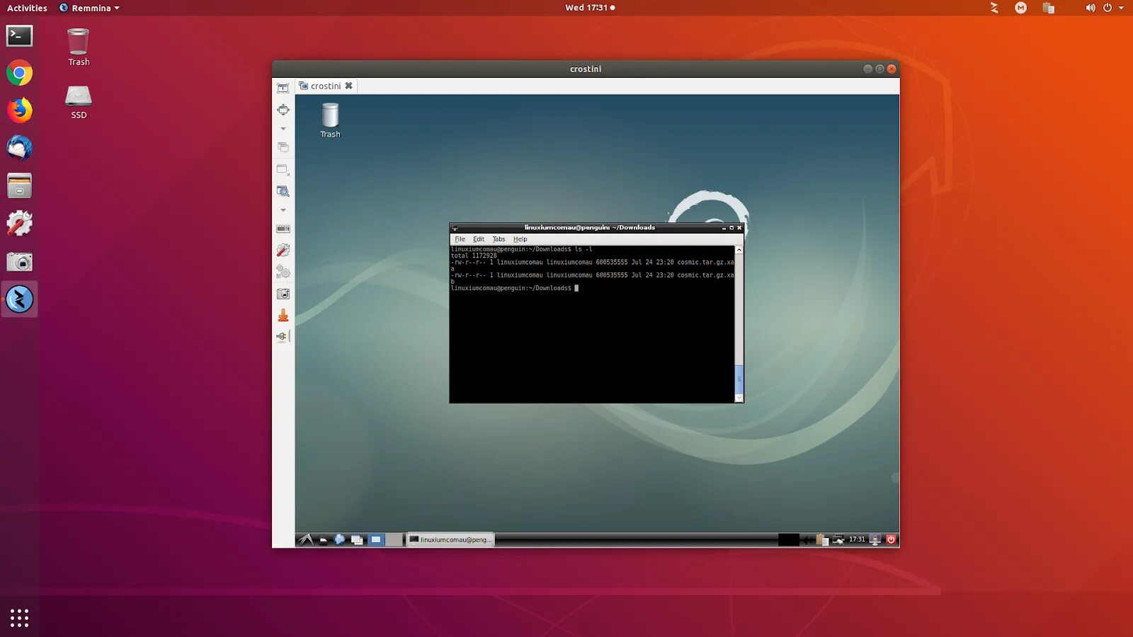 VNC Ubuntu. Remmina Ubuntu. Remmina 1.4.