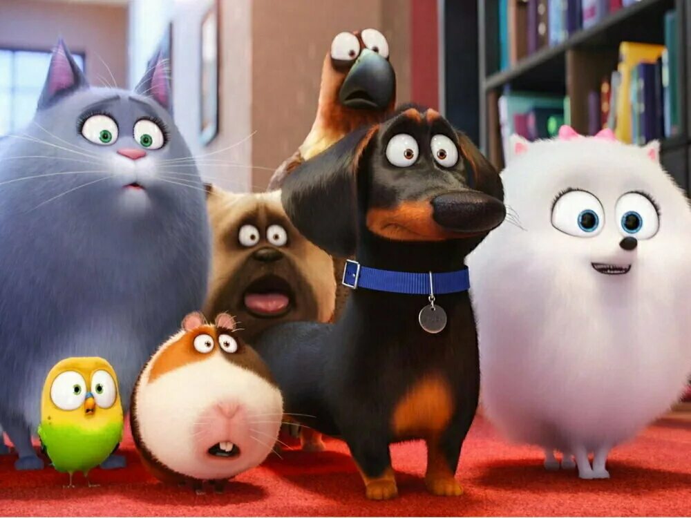 Марли и я. Тайная жизнь домашних животных 2 дюк. Дом животных 1. Тайная жизнь домашних животных персонажи. Тайная жизнь домашних животных макс и дюк.