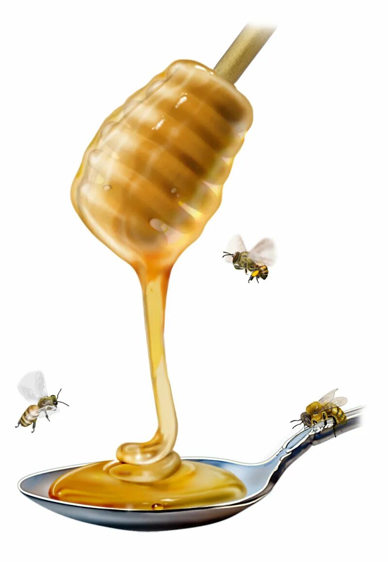Ложка мед портит. Ложка для меда. Мёд натуральный. Пчелиный мёд. Медовая ложка с медом.