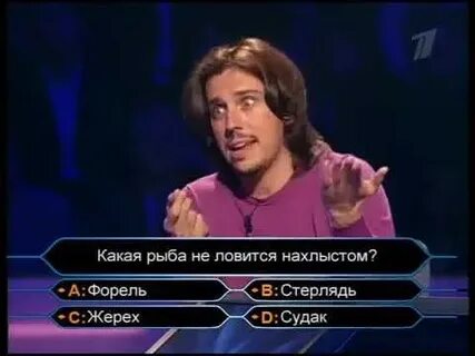 Стань миллионером с максимом галкиным