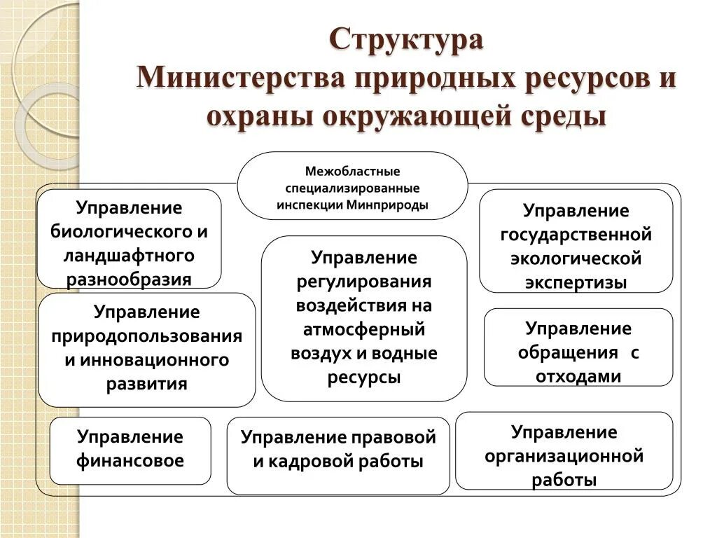 Министерство природных ресурсов структура