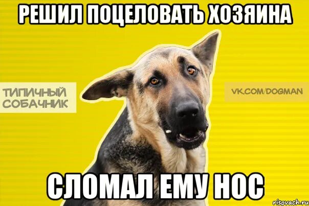 магазинчик флирта дорама поцелуй. дай поесть. дай похавать. ты покушал. дорама ужинаем вместе.