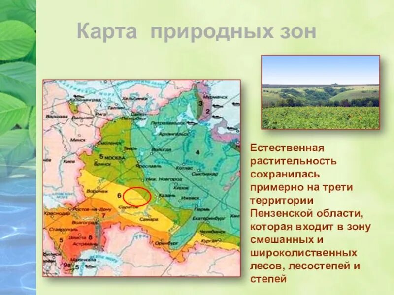 В какой природной зоне расположена нижегородская. Природные зоны Пензенской области. Карта природных зон. Природные зоны Пензенской области карта. Пенза природная зона.