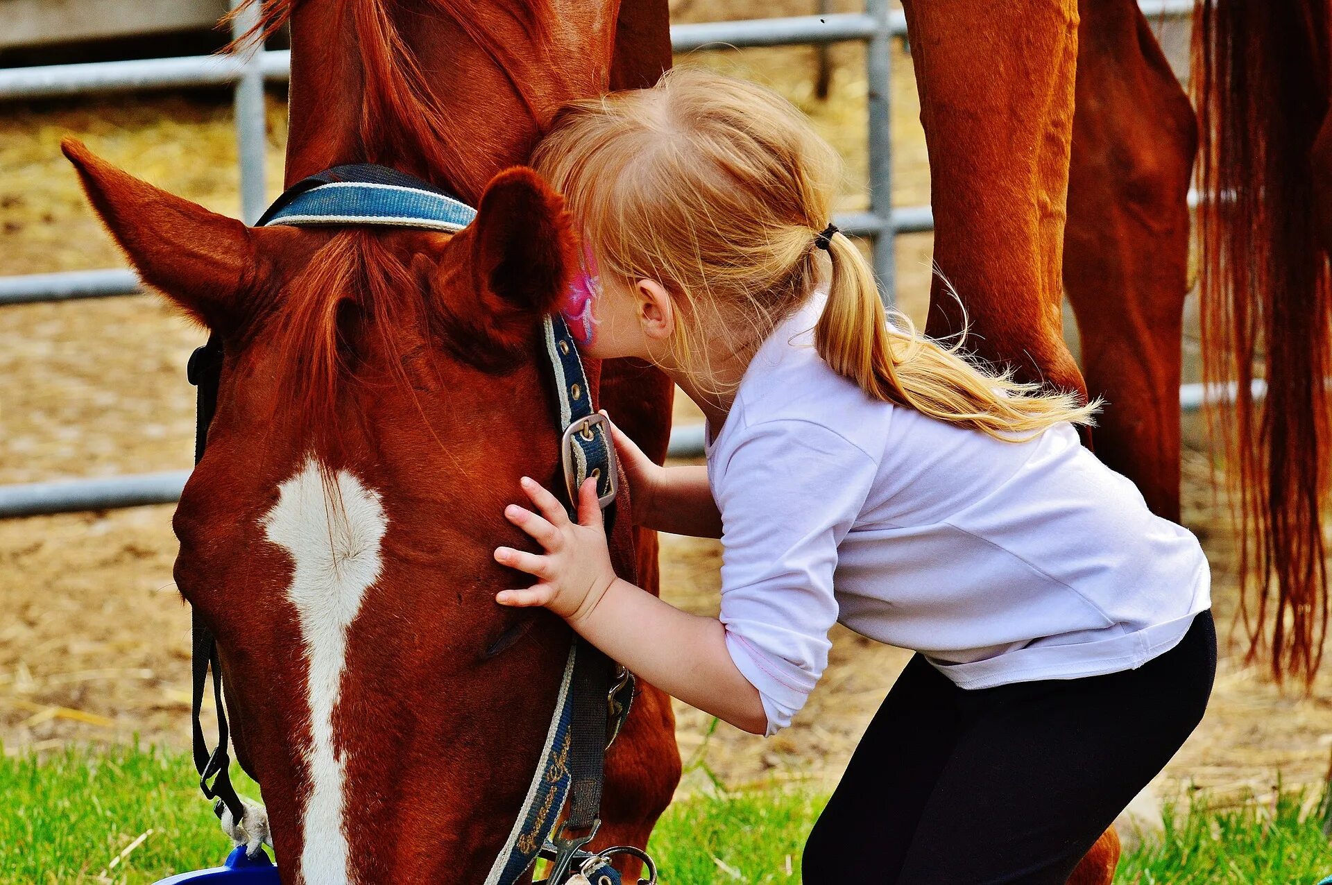 Horse kids. Иппотерапия. Лечебная верховая езда. Лошадь для детей. Лошади и дети терапия. Иппотерапия для детей.