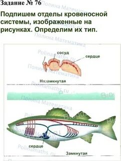 Подпишите отделы