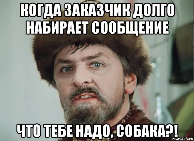 Мемы про заказчиков. Что тебе надо собака Мем. Картинка что тебе надо. Заказчик Мем. Почему так долго говоришь