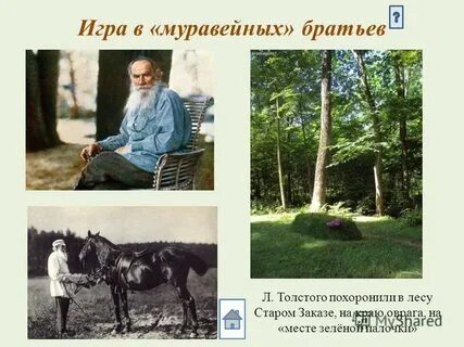 Муравейные братья