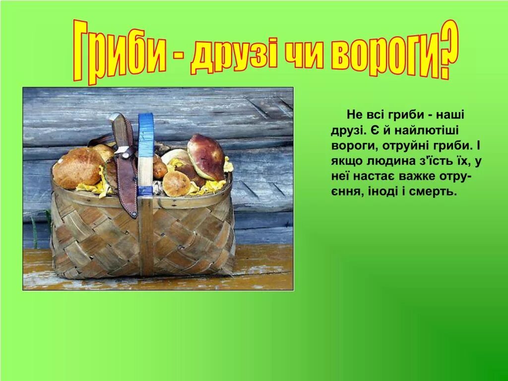 Грибы друзья человека. Грибы друзья человека. Хищные грибы. Гриб друг и враг. Грибы враги или друзья.