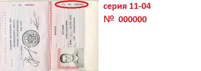 Где написан номер документа. Где написан номер документа