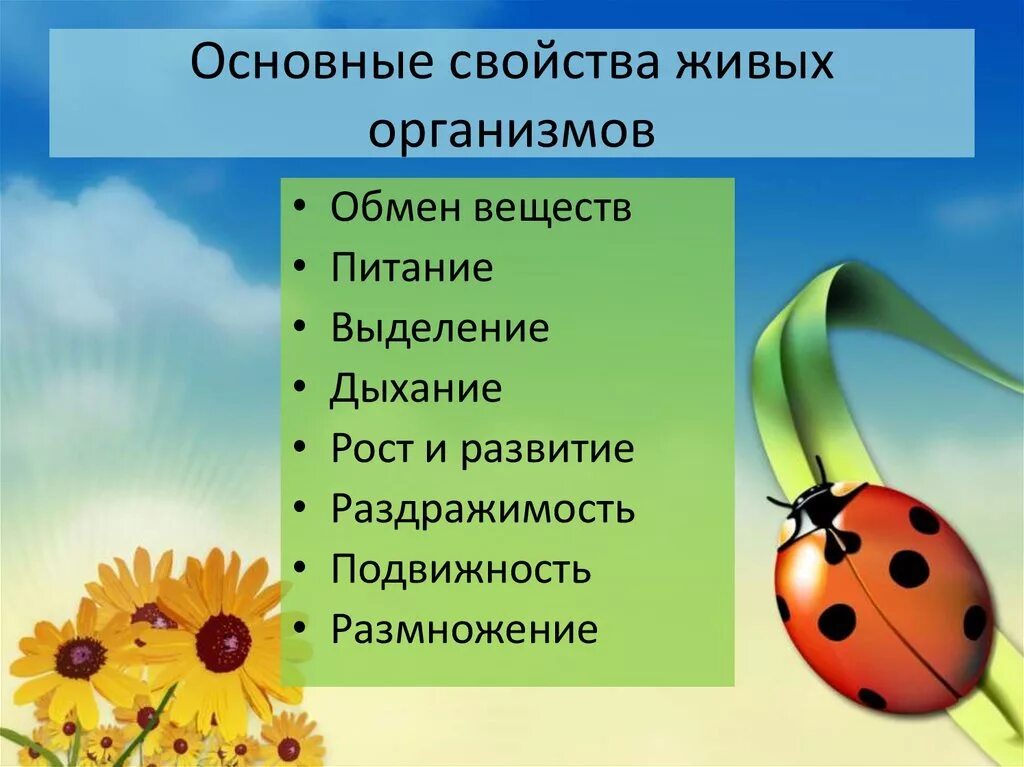 Свойство живого 6 класс. Общие свойства живых организмов. Общие свойства всех живых организмов. Свойства живых организмов биология. Развитие свойство живых организмов.