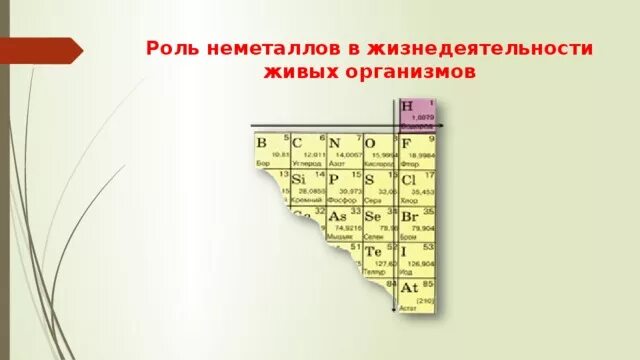 Контроль по неметаллам. Неметаллы в живых организмах. Металлы в живых организмах. Металлы в жизнедеятельности организмов. Роль металлов в живых организмах.