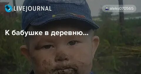 К бабушке в деревню увезли