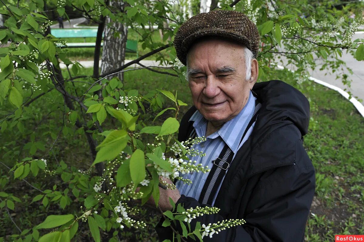 биография василия пескова. песков василий михайлович. песков василий михайлович. василий песков писатель. василий михайлович песков в мире животных.