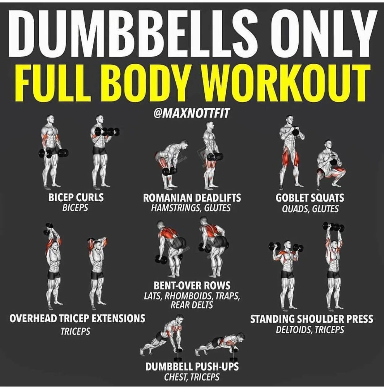 Full body тренировка Workout. Тренировка Full body для мужчин. План тренировок в спортзале. Программа тренировок фулбади.