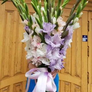 Гладиолусы букет москва