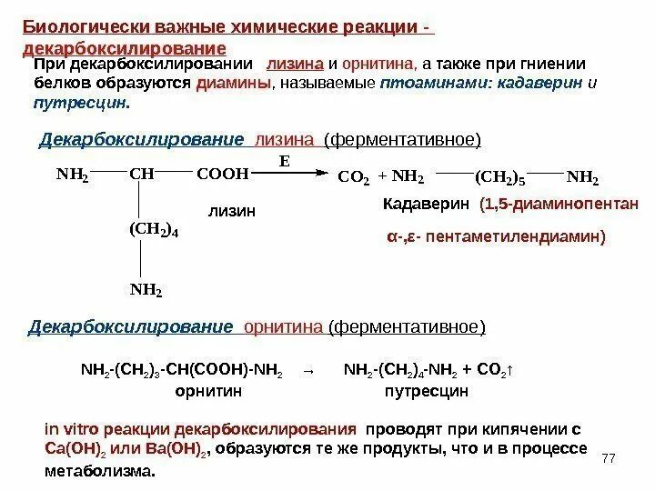 Лизин является аминокислотой. Реакция декарбоксилирования аминокислот. 2,6-диаминогексановая кислота (лизин). декарбоксилирование молочной кислоты реакция.
